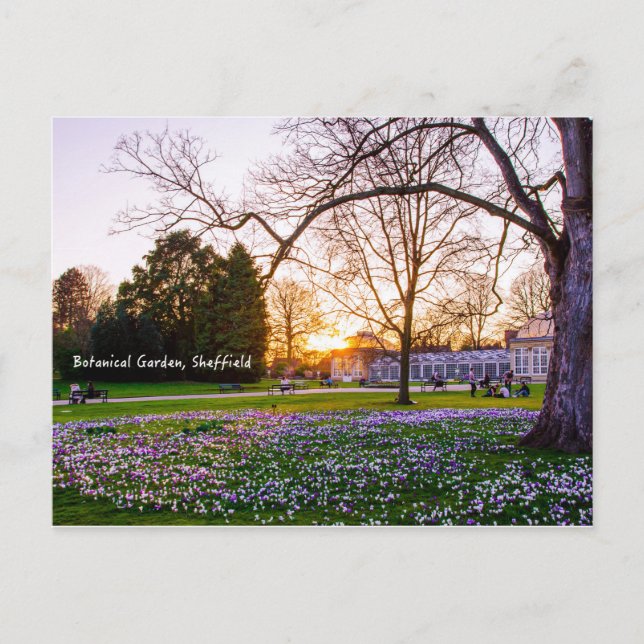 Carte Postale Jardin botanique à Sheffield (Devant)