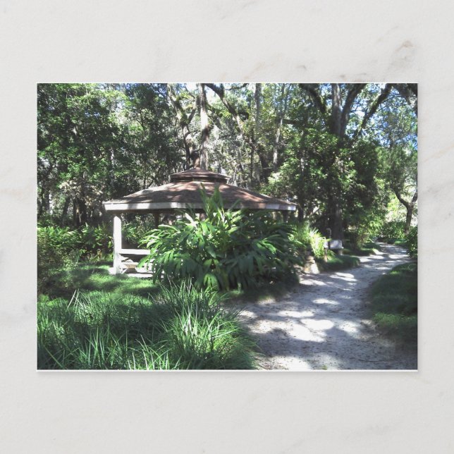 Carte Postale Jardin botanique de Floride (Devant)