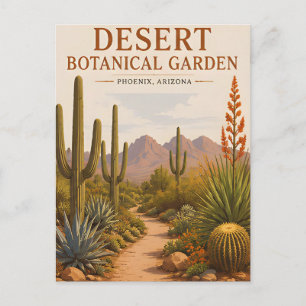 Carte Postale Jardin botanique du désert Paysage de cactus d'Ari