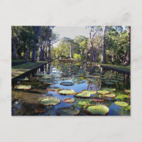 Jardin Botanique Pamplemousses, île Maurice