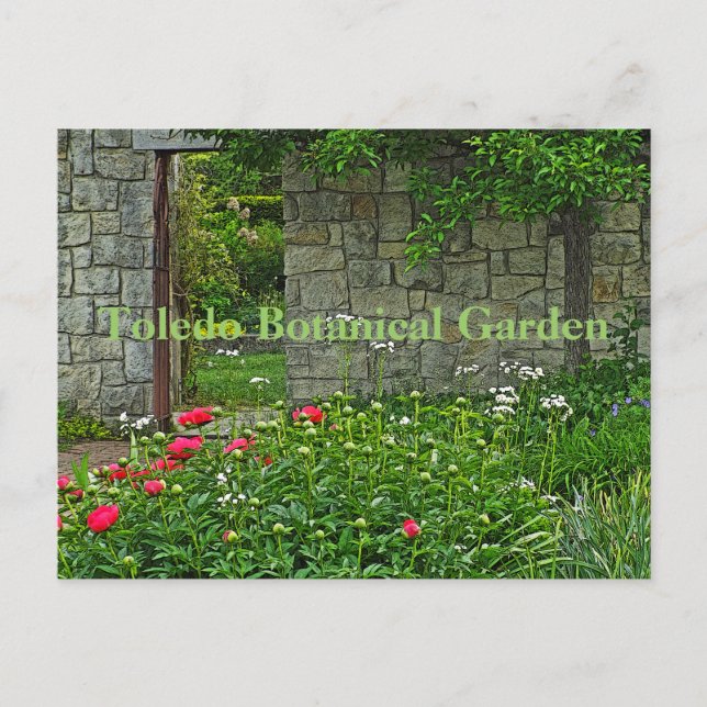 carte postale, JARDIN BOTANIQUE TOLEDO (Devant)