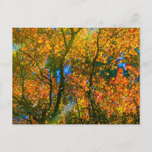 Carte Postale Jardin botanique VanDusen Vancouver, Canada