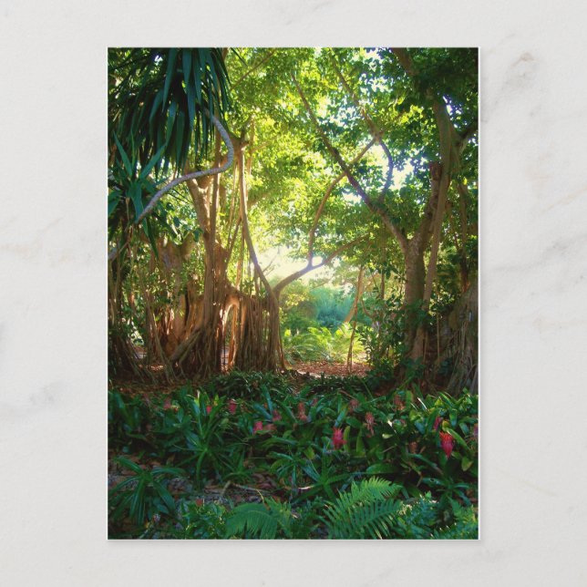 Carte Postale jardin calme (Devant)