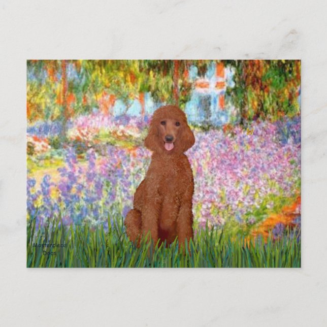 Carte Postale Jardin - Caniche Rouge Foncé #1 (Devant)