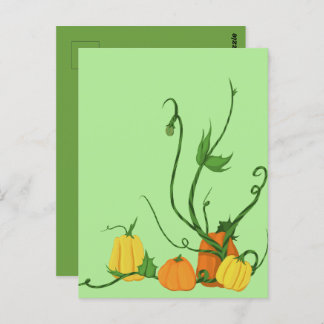 Carte Postale Jardin de citrouilles
