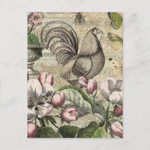 Carte Postale Jardin de Coq Vintage Art Collage : Campagne Franç