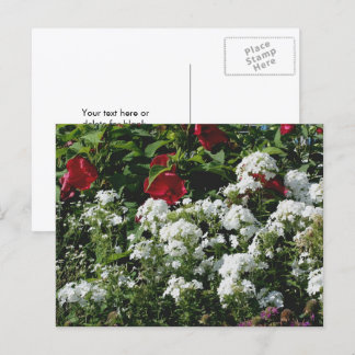 Carte Postale Jardin de fleurs d'Hibiscus et Phlox personnalisé