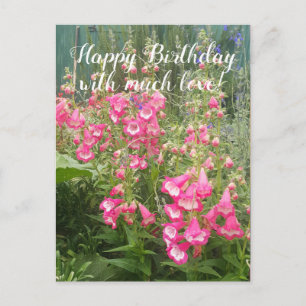 Carte Postale Jardin de fleurs Penstemon Jardin fleuri Joyeux an