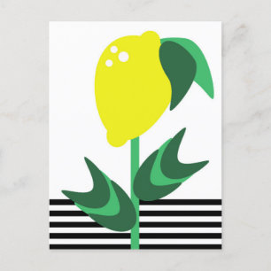 Carte Postale Jardin de fruits de citron bandes végétales     