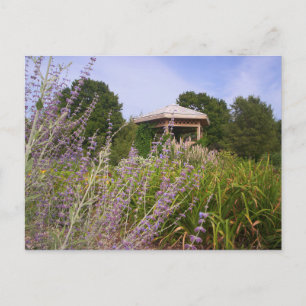 Carte Postale Jardin de lavande Gazebo, Mark Edward Westerfield