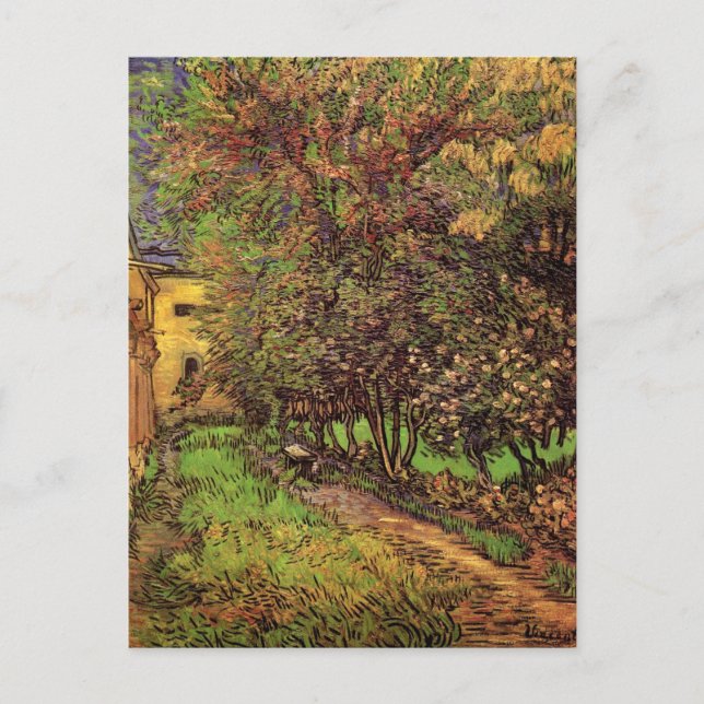 Carte Postale Jardin de l'hôpital Saint-Paul, Vincent van Gogh (Devant)