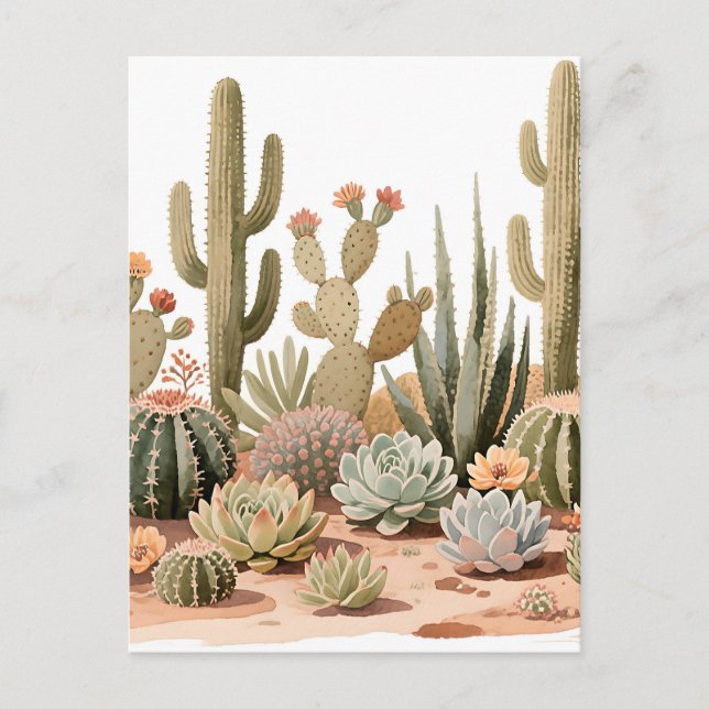 Carte Postale Jardin de plantes succulentes de cactus du désert  (Devant)