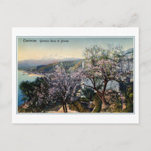 Carte Postale Jardin de Sicile vintage Duc de Bronte (Lord Nelso