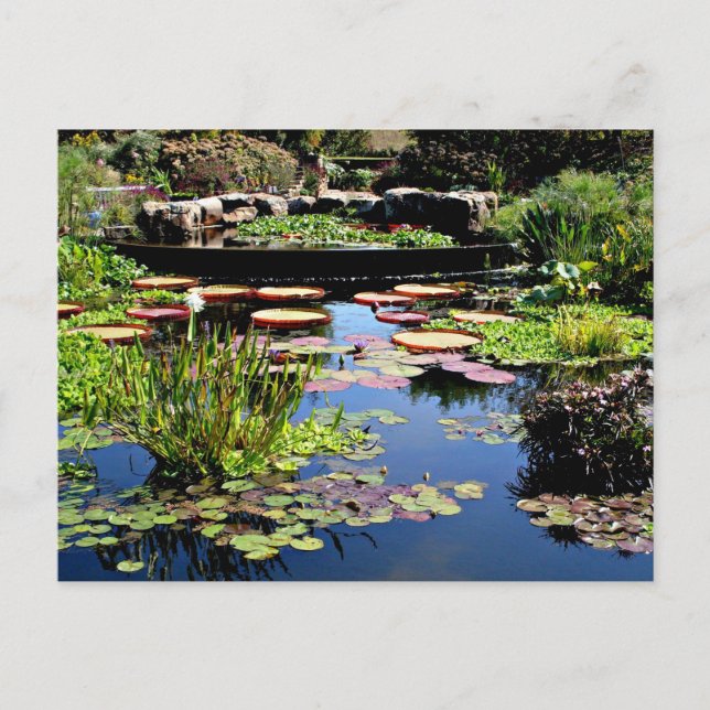 Carte Postale Jardin d'eau (Devant)