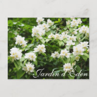 Jardin d'Éden