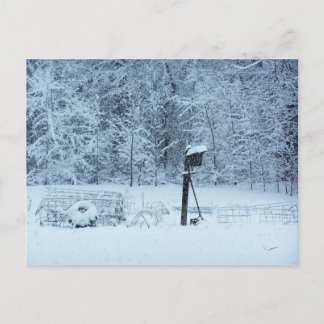 Carte Postale Jardin des neiges