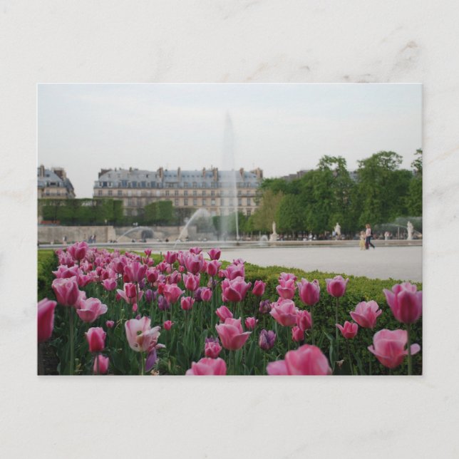 Carte Postale Jardin des Tuileries en fleurs (Devant)