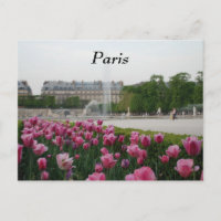 Jardin des Tuileries en fleurs