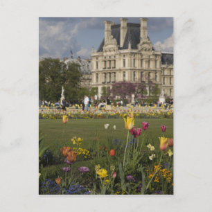 Carte Postale Jardin des Tuileries, Louvre, Paris, France
