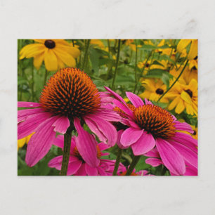 Carte Postale Jardin d'été