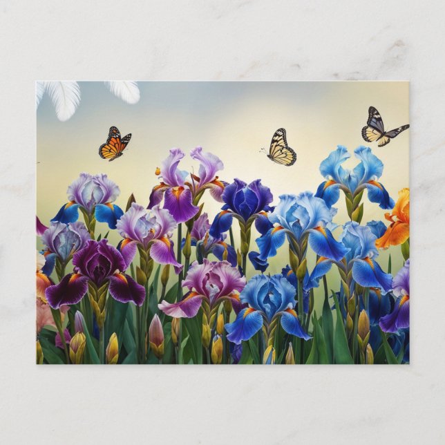 Carte Postale Jardin d'été avec Fleurs d'Iris et Papillons (Devant)
