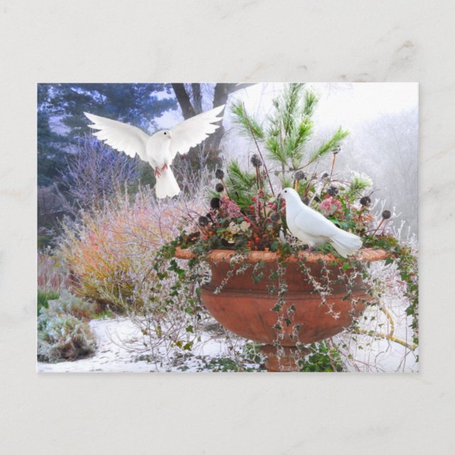 Carte Postale "Jardin d'hiver" (Devant)