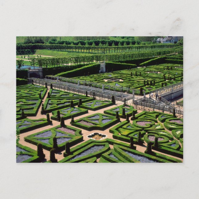 Carte Postale Jardin du Château de Villandry, Indre-et-Loire, (Devant)