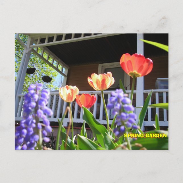 CARTE POSTALE JARDIN DU PRINTEMPS (Devant)