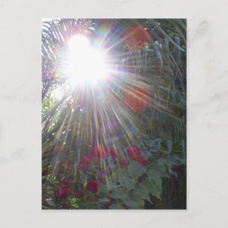 Carte Postale Jardin ensoleillé