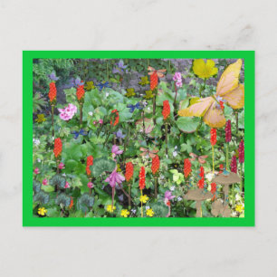 Carte Postale Jardin fantastique