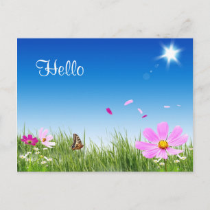 Carte Postale Jardin Fleur Papillon Bonjour Margue