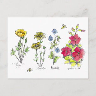 Carte Postale Jardin fleur sauvage Botanique Aquarelle Art Bees