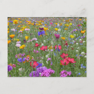 Carte Postale Jardin fleuri