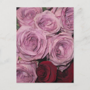 Carte Postale Jardin Floral