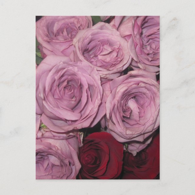 Carte Postale Jardin Floral (Devant)