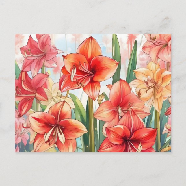 Carte Postale Jardin Floral d'Amaryllis (Devant)