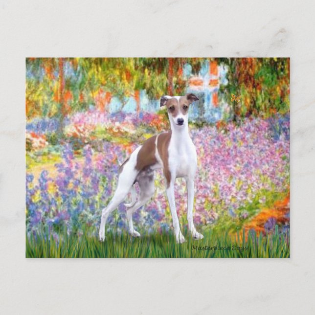 Carte Postale Jardin - Greyhound italien 7 (Devant)