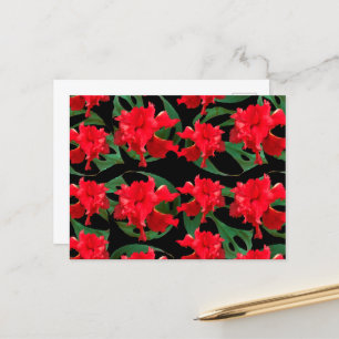 Carte Postale Jardin Hibiscus Monstera Motif Noir