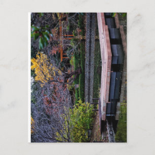 Carte Postale Jardin Japonais