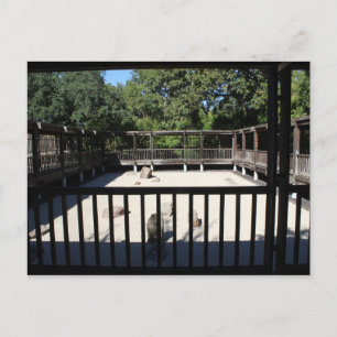 Carte Postale Jardin japonais à Fort Worth Texas # 54