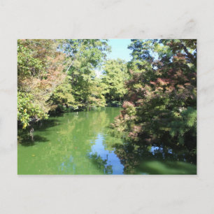 Carte Postale Jardin japonais à Fort Worth Texas # 74