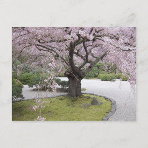 Carte Postale Jardin japonais de Portland, Portland, Oregon,