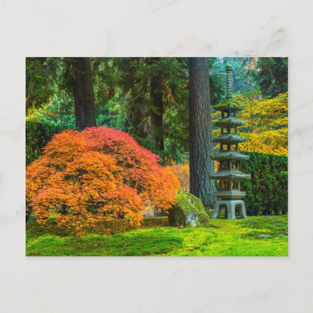 Carte Postale Jardin Japonais En Automne À Portland, Oregon (Devant)