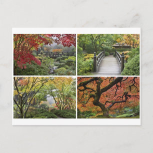 Carte Postale Jardin japonais en saison d'automne colorée