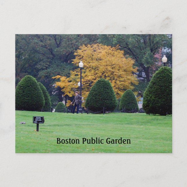 Carte Postale Jardin public de Boston (Devant)