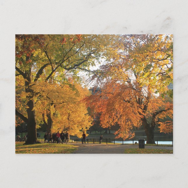 Carte Postale Jardin public de Boston Automne (Devant)