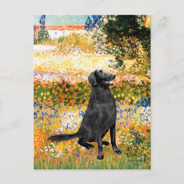 Carte Postale Jardin - Retriever à poil plat (Devant)