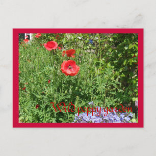 Carte Postale Jardin sauvage de pavot