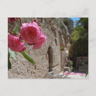 Carte Postale Jardin Tombeau Jeruselum Isreal