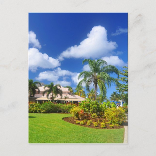 Carte Postale Jardin tropical (Devant)